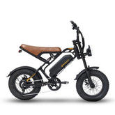 Bodywel M16 Fat Tire Electric Bike