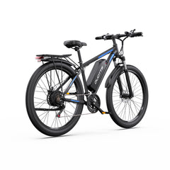 DUOTTS C29-L Electric Bike