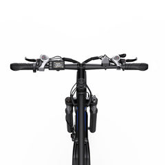 DUOTTS C29-L Electric Bike