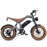 DYU M20 All-Terrain Long-Range Electric Bike