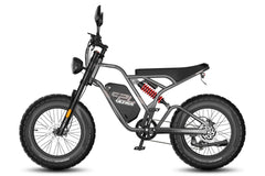 Fafrees F20 Ultra HS Electric Bike