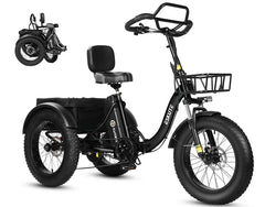 Eskute T302 Pro Cargo Electric Trike