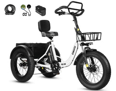 Eskute T302 Pro Cargo Electric Trike