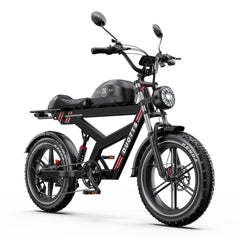 DUOTTS F20 Upgraded Electric Bike