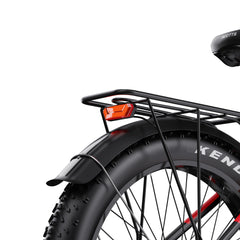DUOTTS F26 Pro Electric Mountain Bike