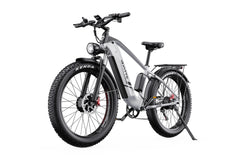 DUOTTS F26 Pro Electric Mountain Bike