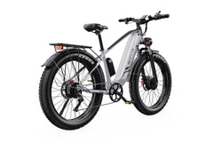 DUOTTS F26 Pro Electric Mountain Bike