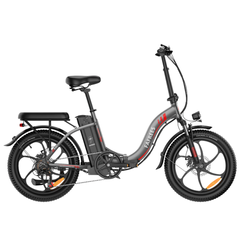 FAFREES F20 Folding Electric Bike