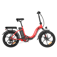 FAFREES F20 Folding Electric Bike