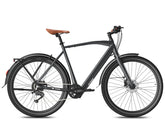 Black Fafrees F700M Electric bicycle with brown seat on a white background
