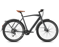 Black Fafrees F700M Electric bicycle with brown seat on a white background