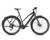 Black Fafrees F700W Electric bicycle on a white background