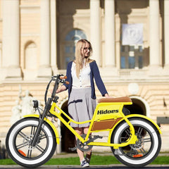 Hidoes C8 Fat Tire Electric Bike - Pogo Cycles