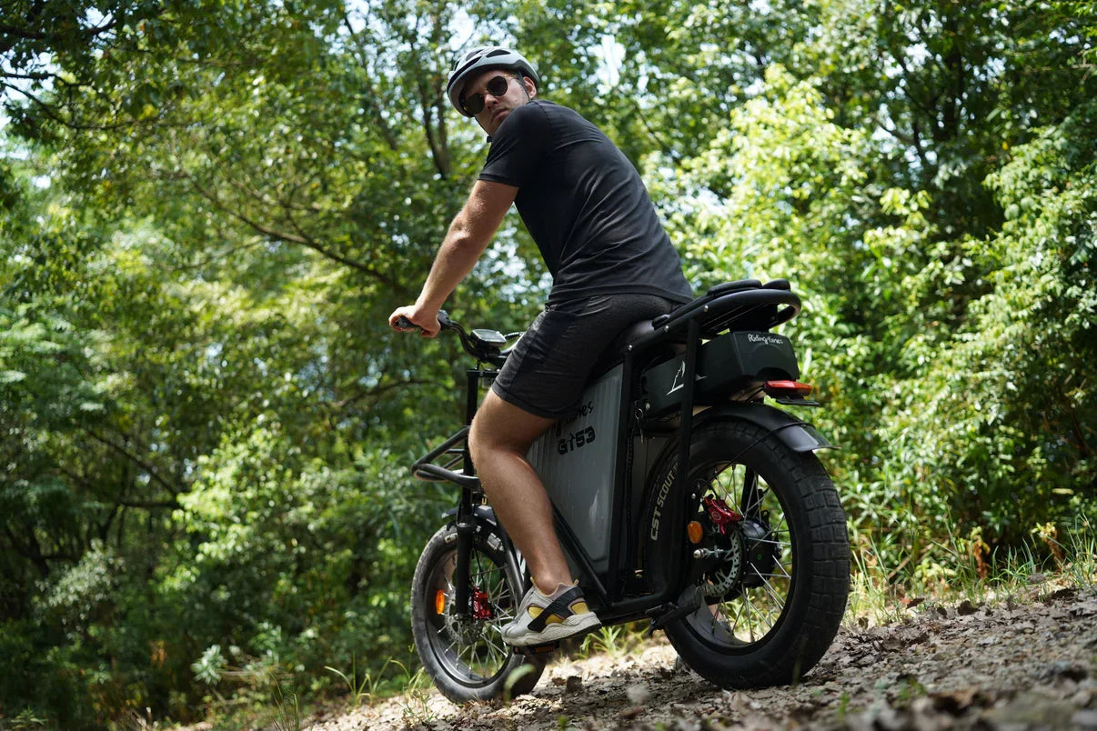 Riding Times GT53 Electric Cargo Bike - Pogo Cycles