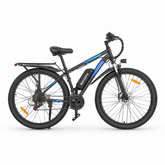 RAYZEPH S29 Pro Elektrisches Mountainbike
