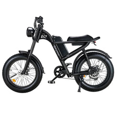 Riding Times Z8 Electric Bike - US - Pogo Cycles