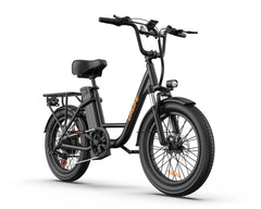 Black URLIFE E20 Step-Thru Electric bicycle on a white background