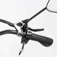 Ridstar Q20 Pro Electric Cargo Bike