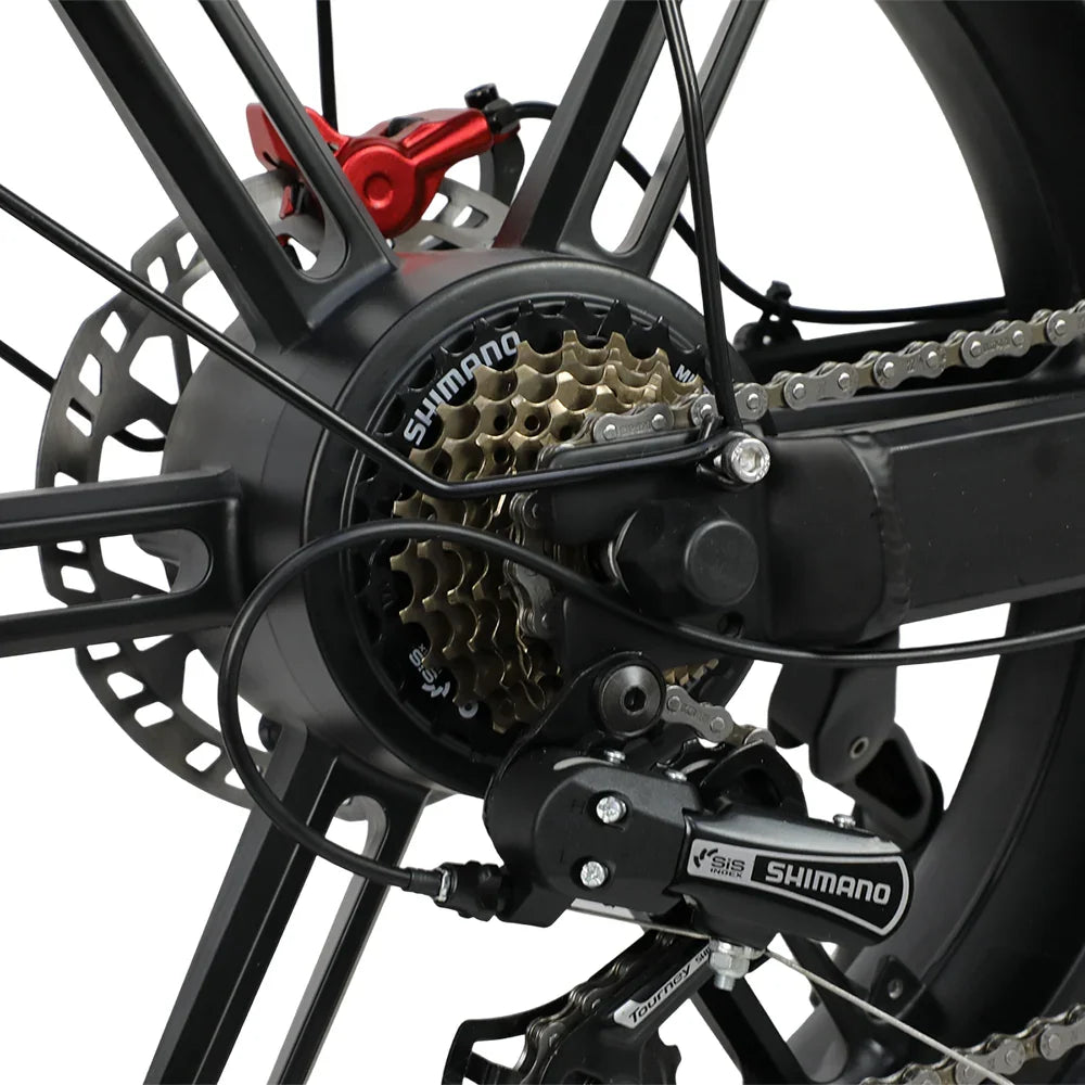 DUOTTS F20 Upgraded Electric Bike - Pogo Cycles