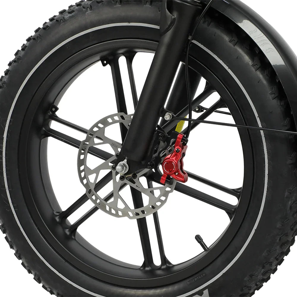 DUOTTS F20 Upgraded Electric Bike - Pogo Cycles
