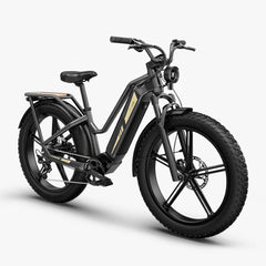 Fiido Titan Robustes Cargo-Elektrofahrrad 