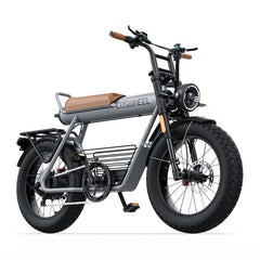 Coswheel CT20 Cargo-Elektrofahrrad