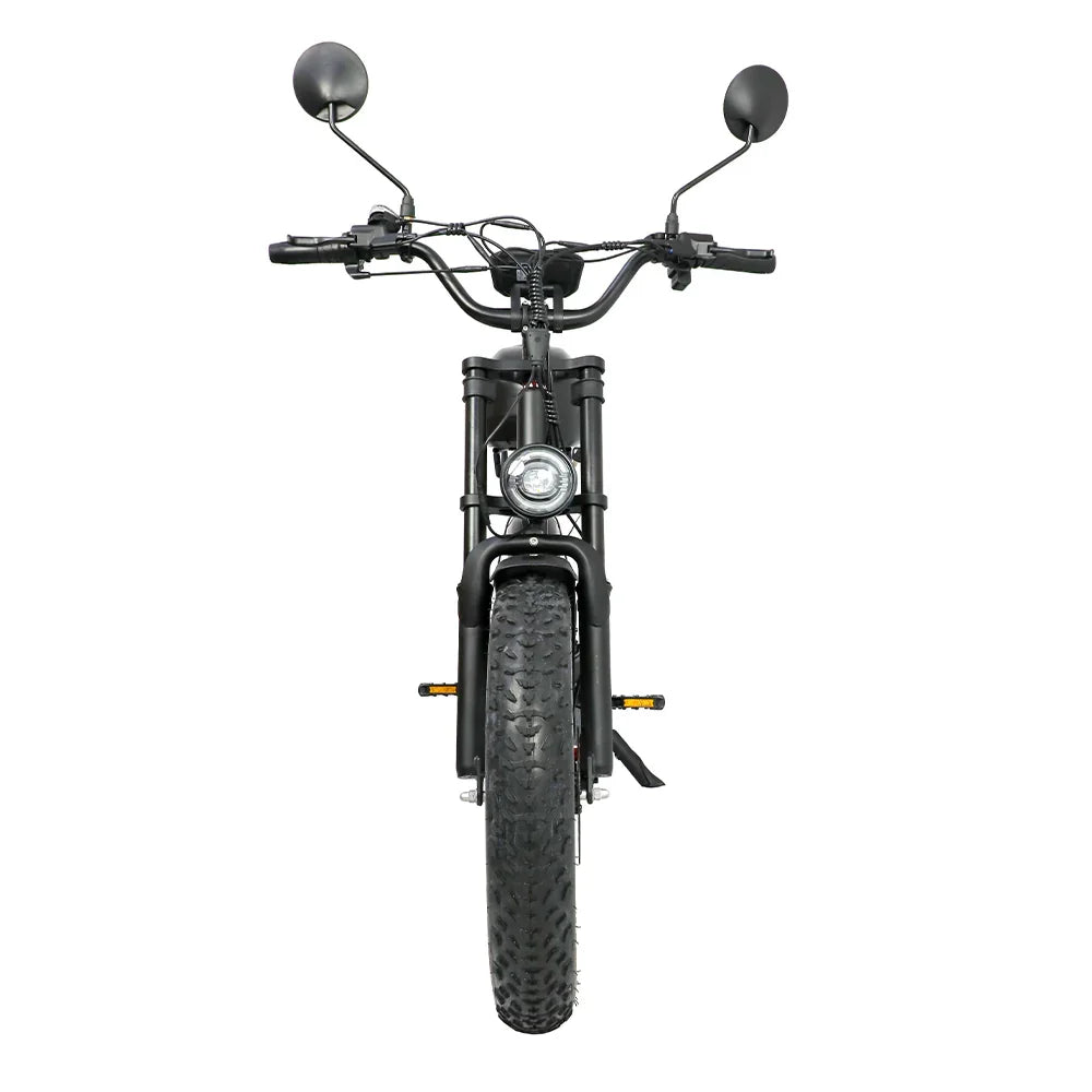 DUOTTS F20 Upgraded Electric Bike - Pogo Cycles