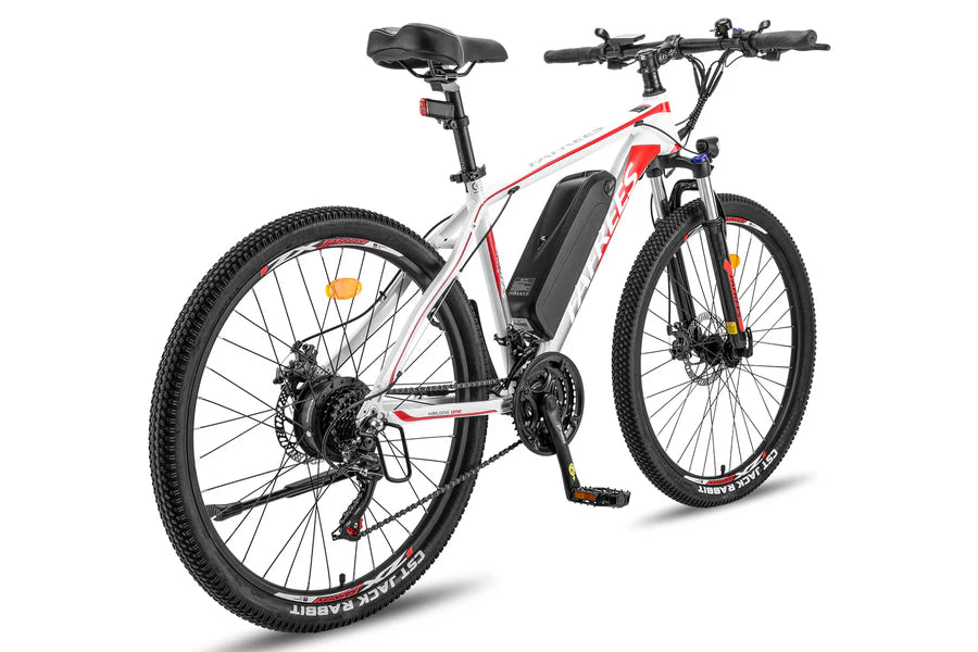 Fafrees 26 Hailong One Electric Bike