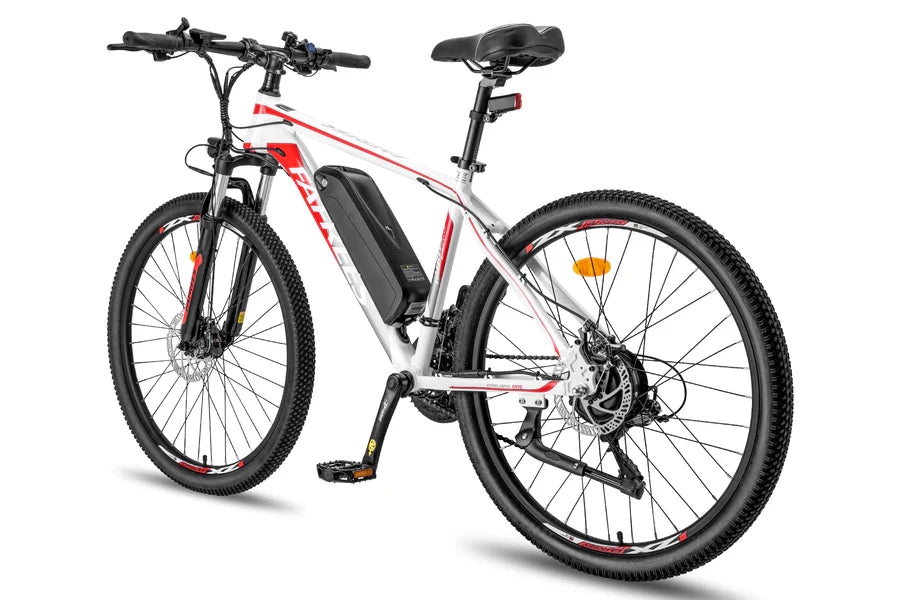 Fafrees 26 Hailong One Electric Bike