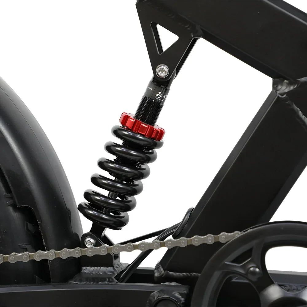 DUOTTS F20 Upgraded Electric Bike - Pogo Cycles