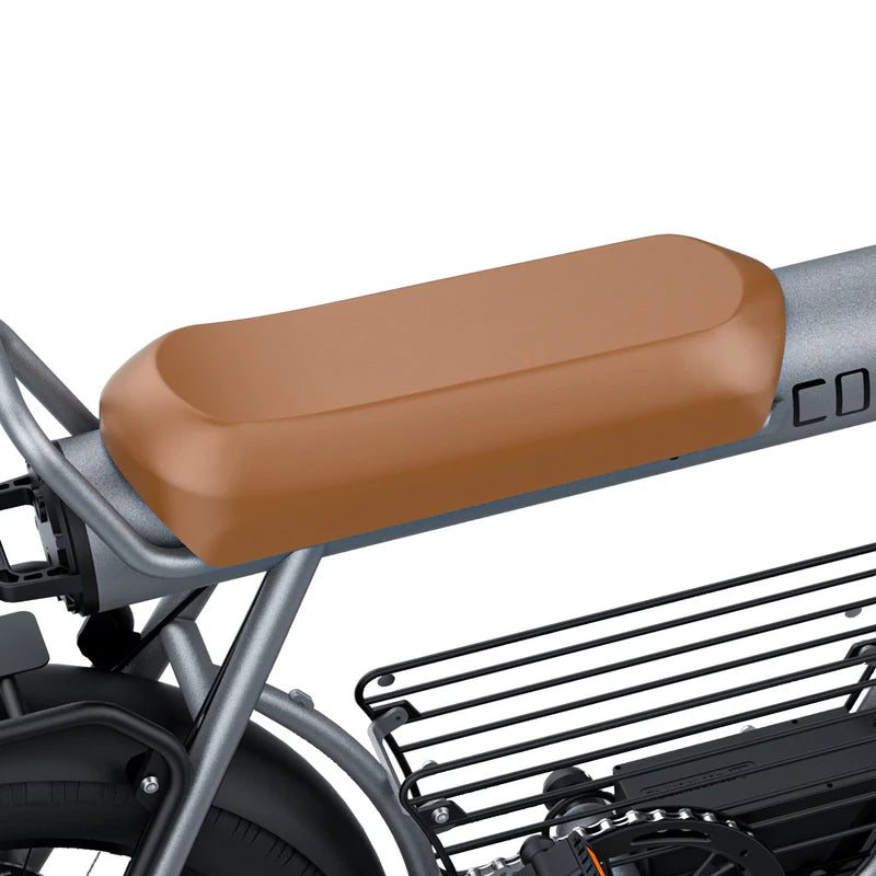 Coswheel CT20 Cargo-Elektrofahrrad