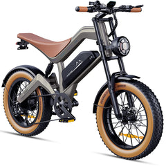 DYU M20 All-Terrain Long-Range Electric Bike