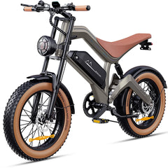 DYU M20 All-Terrain Long-Range Electric Bike
