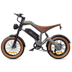 DYU M20 All-Terrain Long-Range Electric Bike