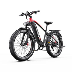 DUOTTS F26Lite Electric Bike