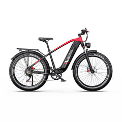 DUOTTS F26Lite Electric Bike
