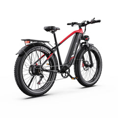 DUOTTS F26Lite Electric Bike