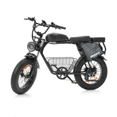 Hidoes B9 Electric Bike