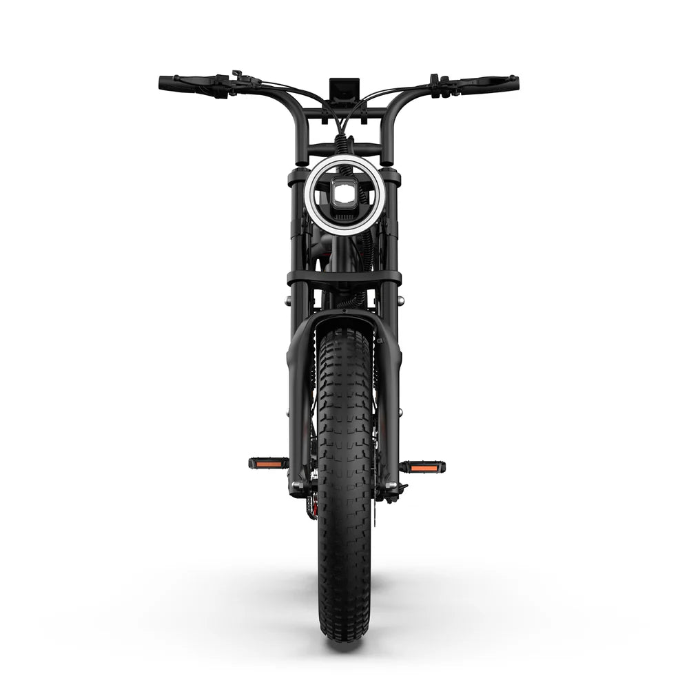 Front view of Black URLIFE T2 Off Road Electric Bike on a white background