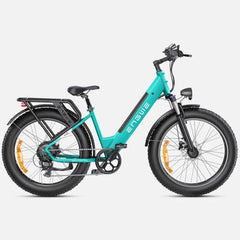 ENGWE E26 Electric Mountain Bike - Pogo Cycles