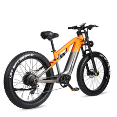 RANDRIDE YX80 Electric Bike - Pogo Cycles