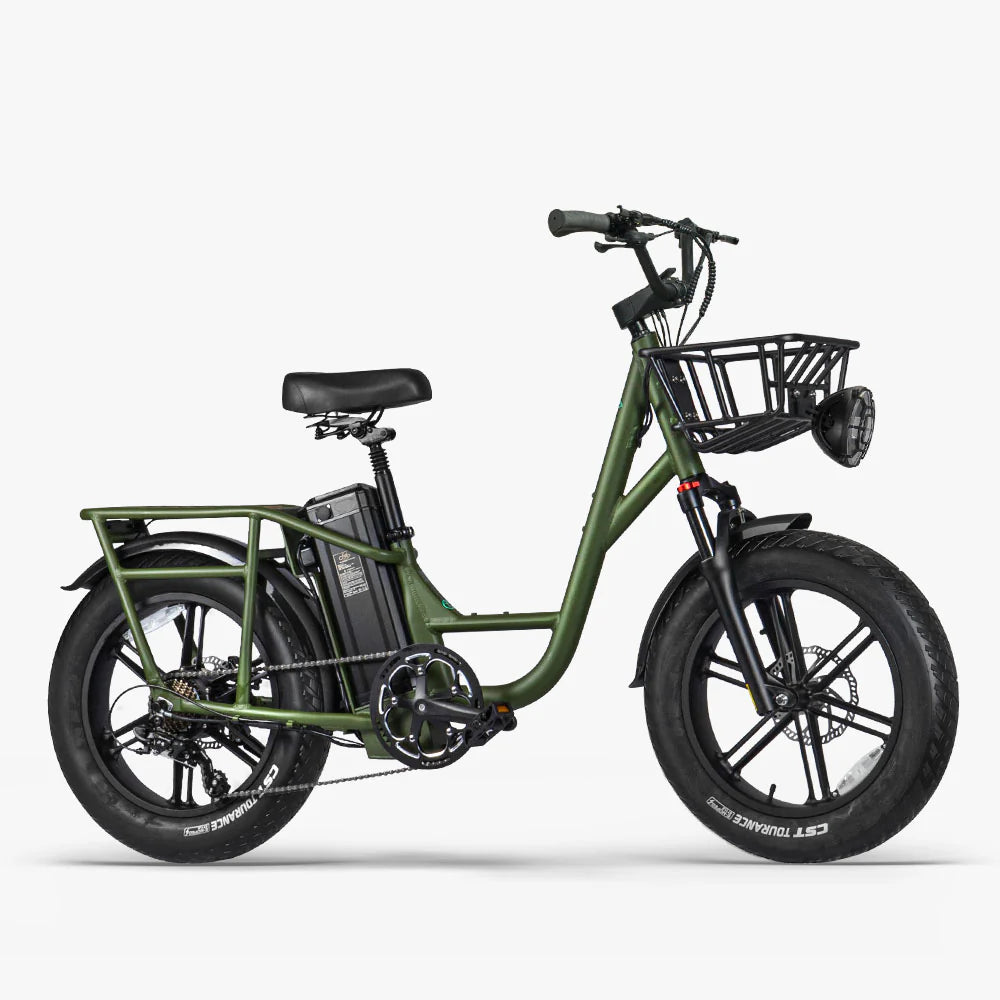 FIIDO T1 pro v2 upgraded Cargo Electric Bike - Pogo Cycles