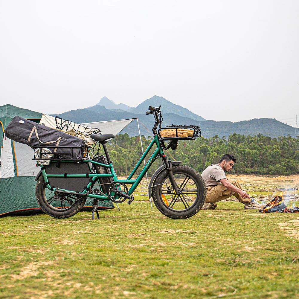 Fiido T2 Longtail Cargo E-Bike - UK - Pogo Cycles