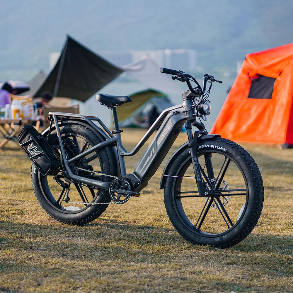 Fiido Titan Robust Cargo Electric Bike - Pogo Cycles