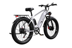 DUOTTS F26 Elektro-Mountainbike